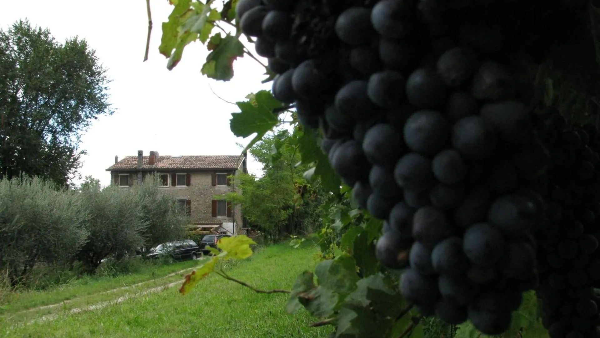 I Vigneti Bed & Breakfast Salionze Italië