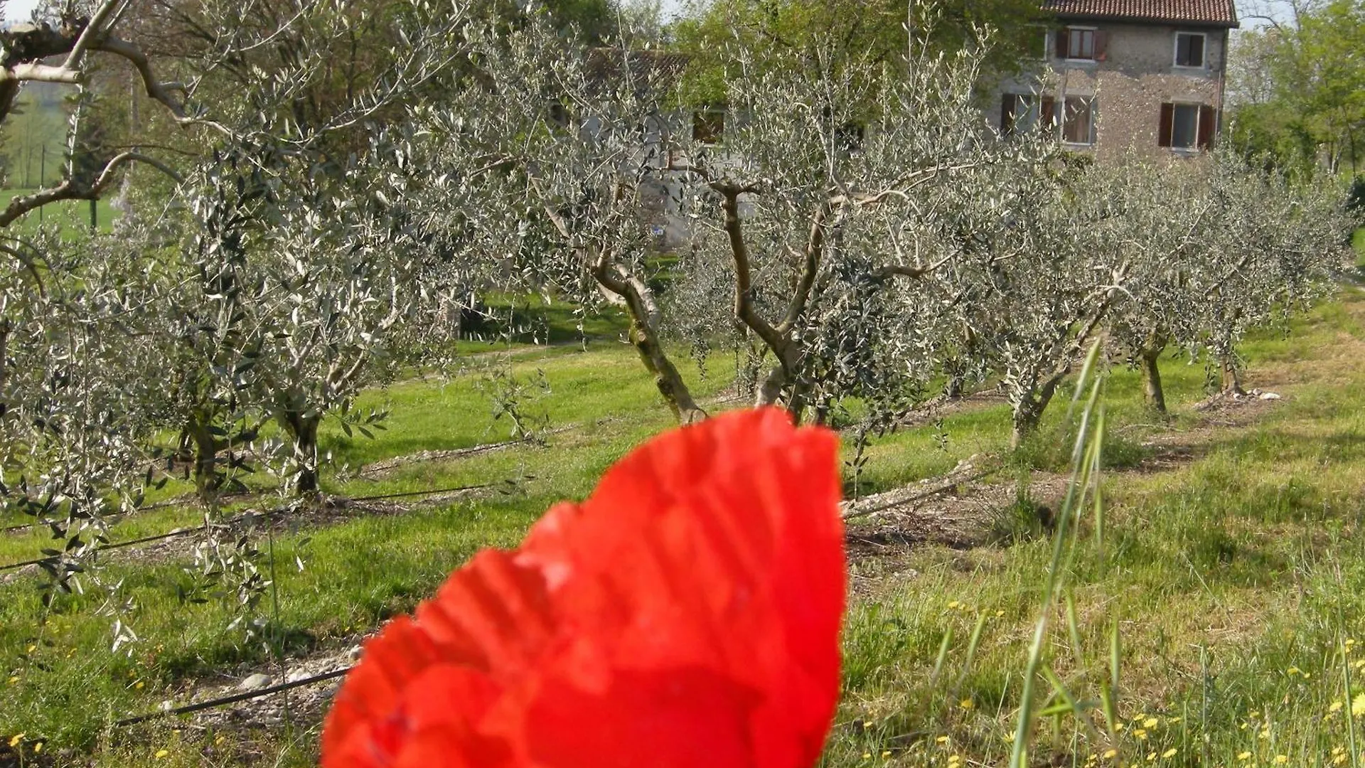 I Vigneti Bed & Breakfast Salionze